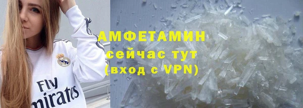 сатива Балахна