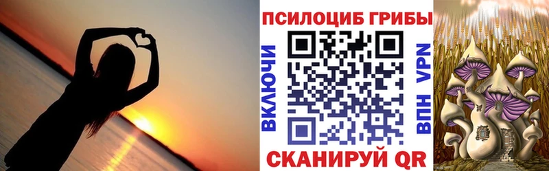 Галлюциногенные грибы GOLDEN TEACHER  цены наркотик  Беслан 
